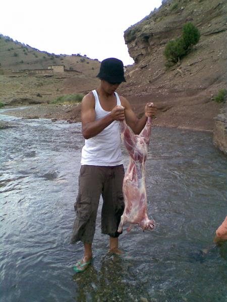 c'est moi avec un mouton