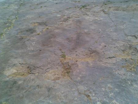 les traces des pied de dinazor a tibakliwin